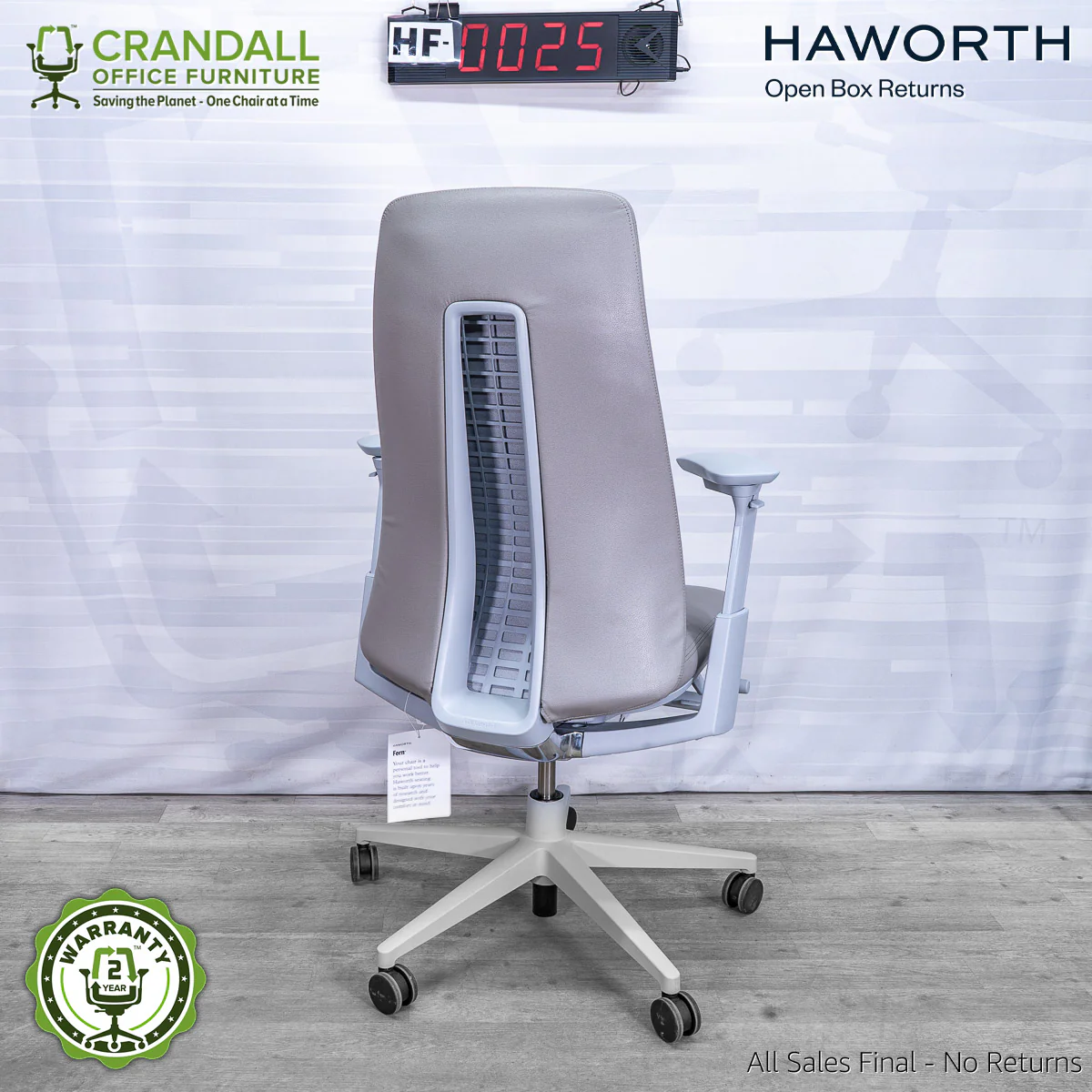 HF-0025 - Haworth Fern - Image 2