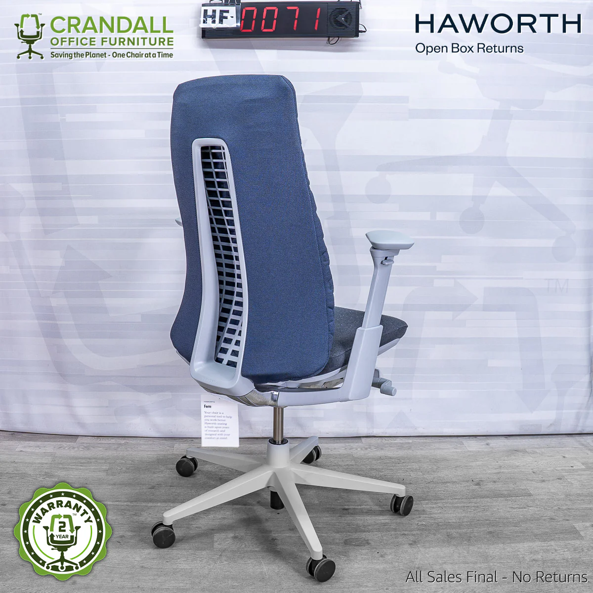 HF-0071 - Haworth Fern - Image 2