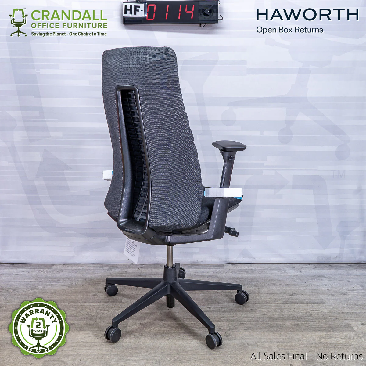 HF-0114 - Haworth Fern - Image 2