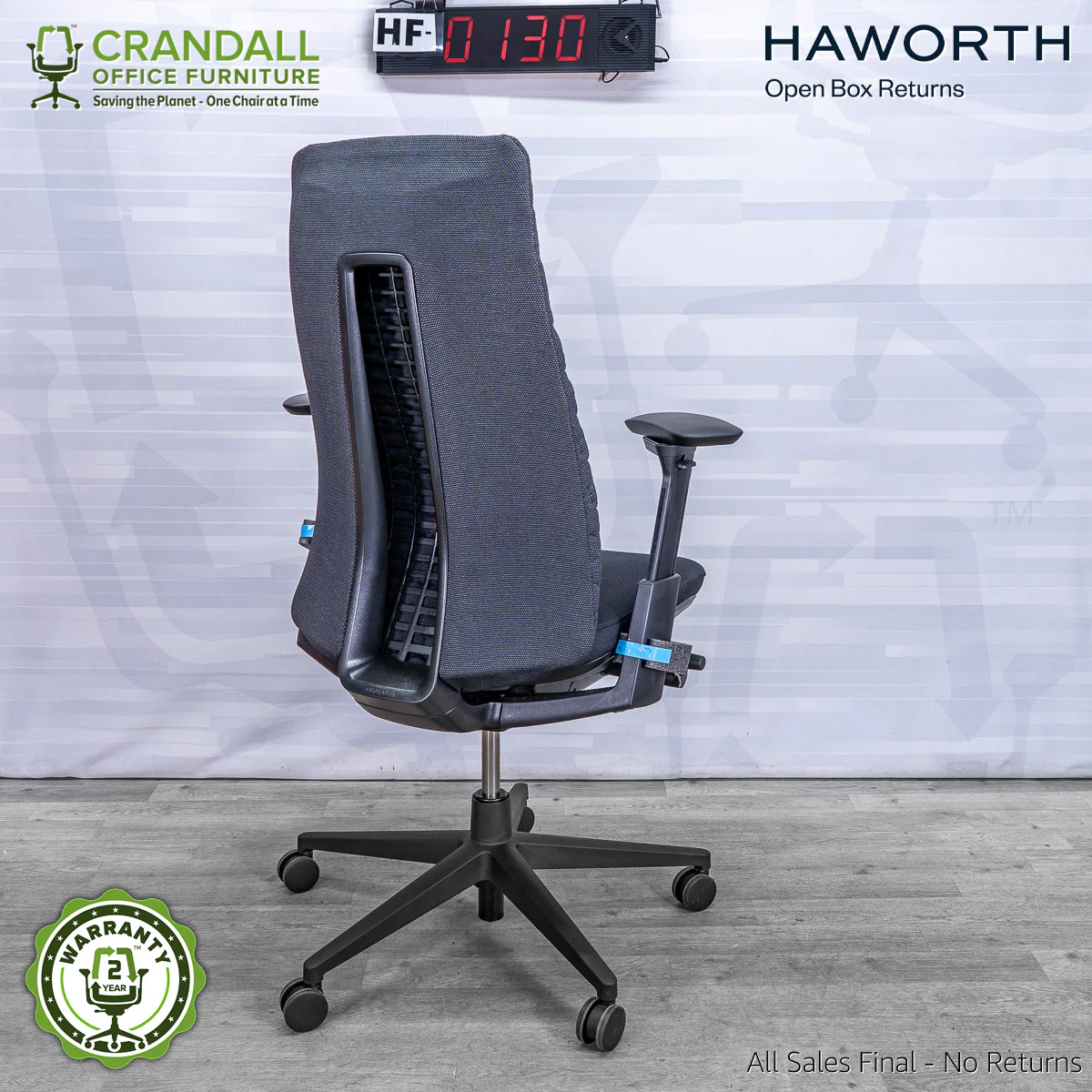 HF-0130 - Haworth Fern - Image 2