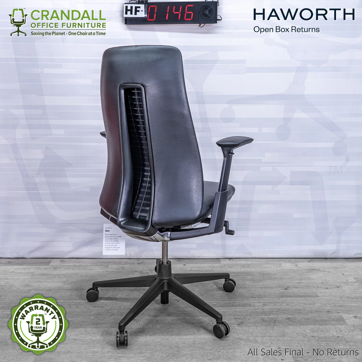 HF-0146 - Haworth Fern - Image 2