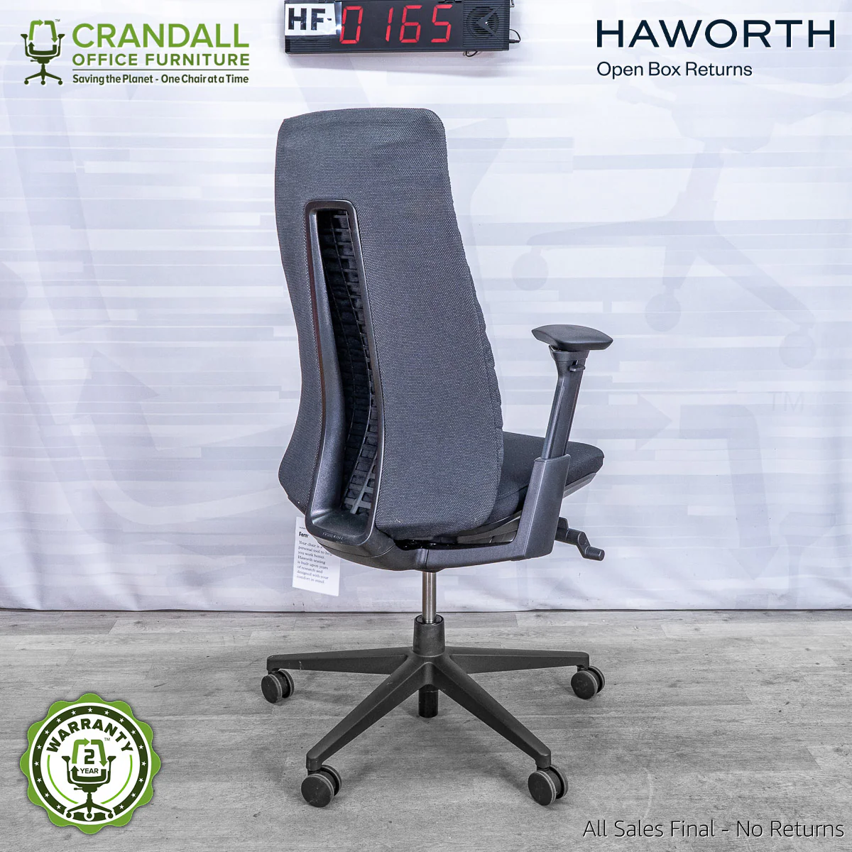 HF-0165 - Haworth Fern - Image 2
