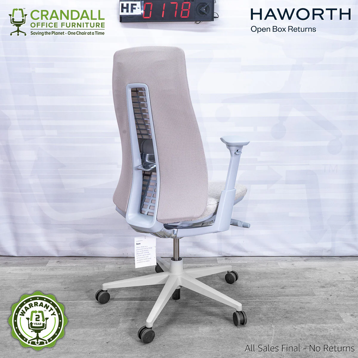 HF-0178 - Haworth Fern - Image 2