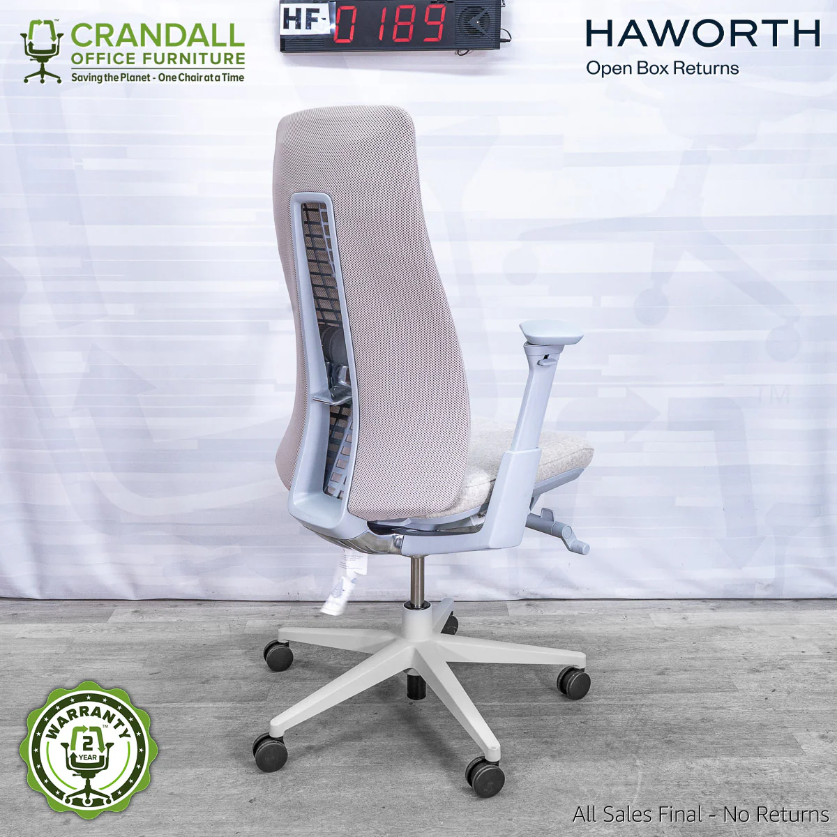 HF-0189 - Haworth Fern - Image 2