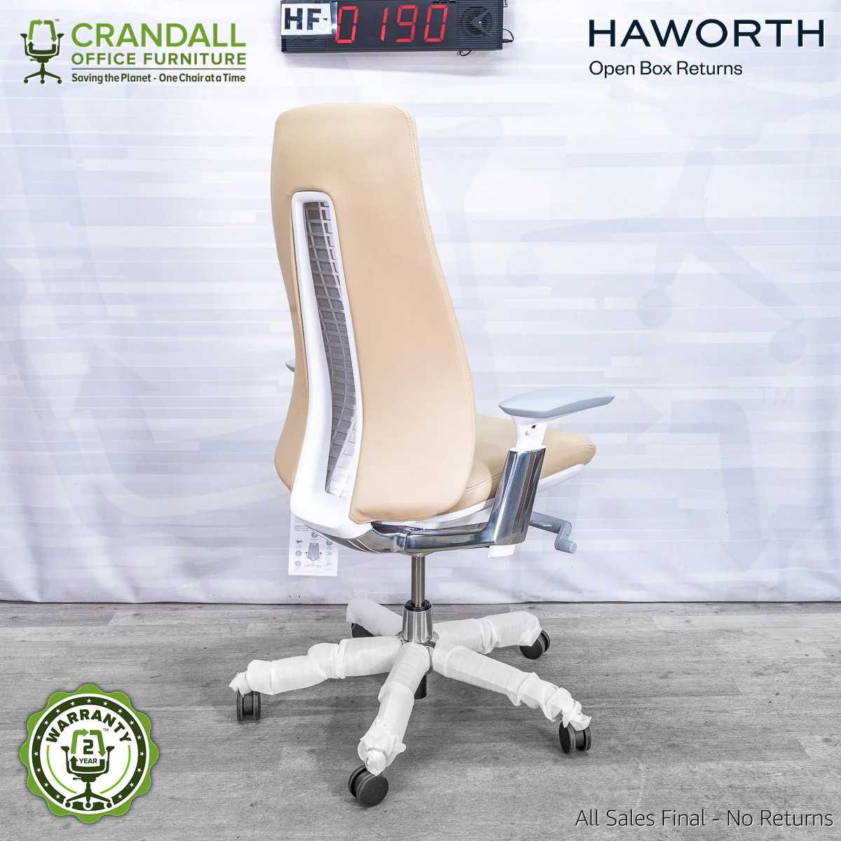 HF-0190 - Haworth Fern - Image 2