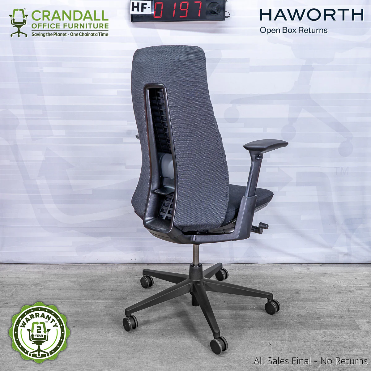HF-0197 - Haworth Fern - Image 2