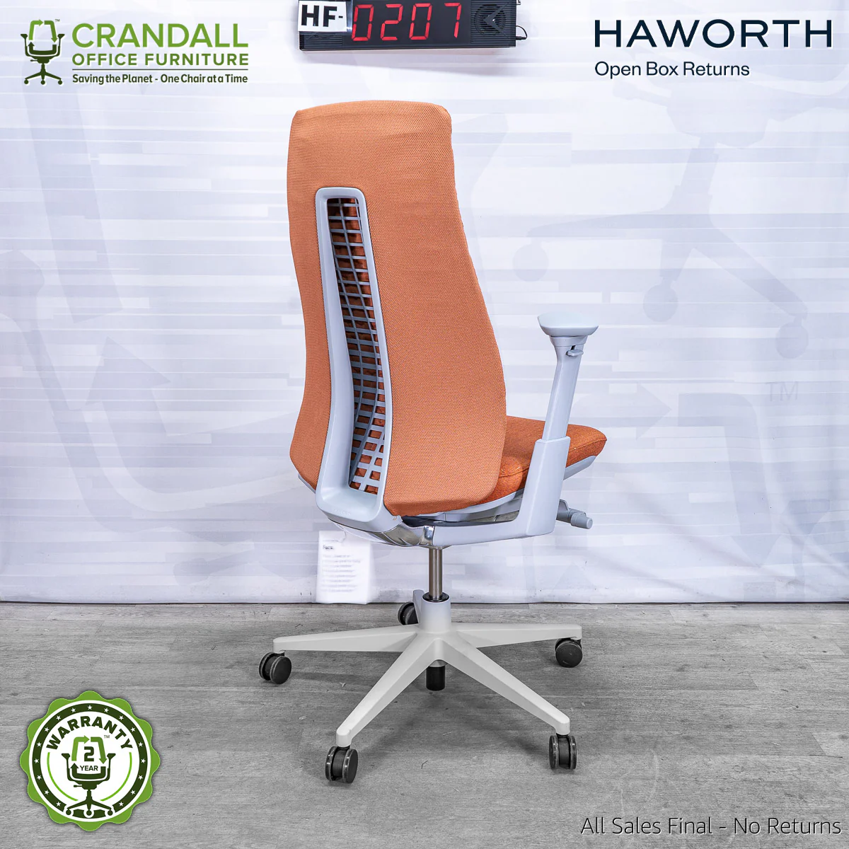 HF-0207 - Haworth Fern - Image 2