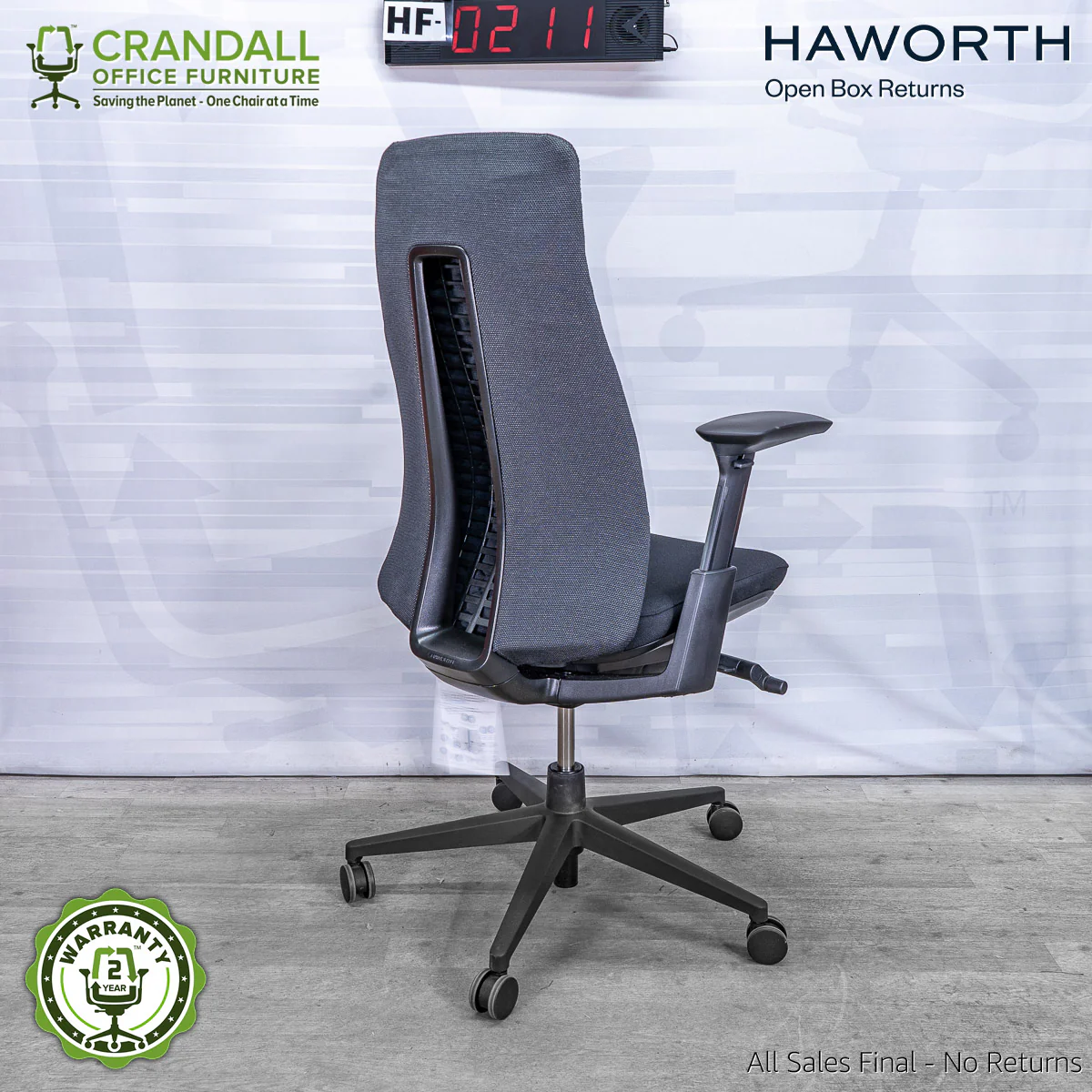 HF-0211 - Haworth Fern - Image 2