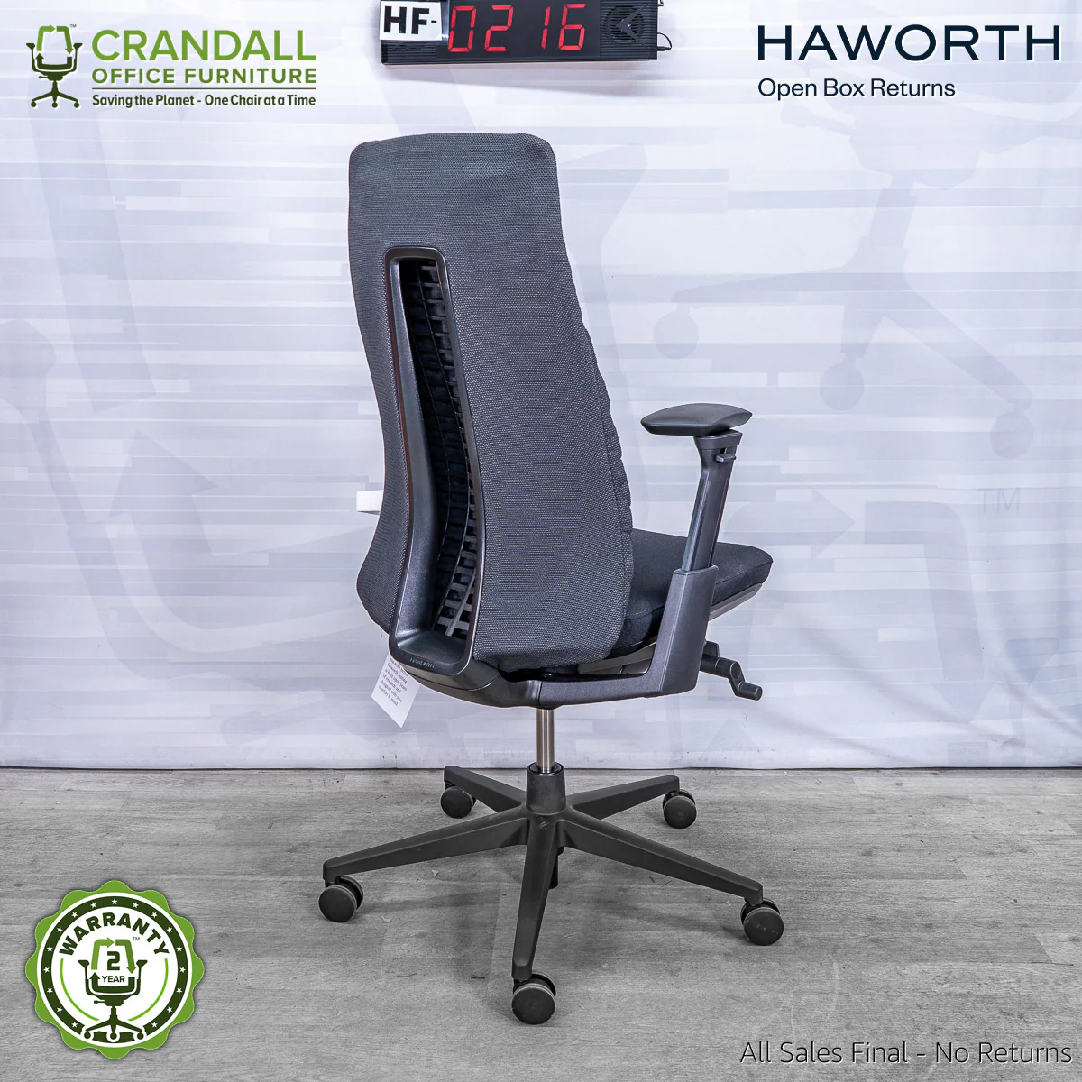 HF-0216 - Haworth Fern - Image 2