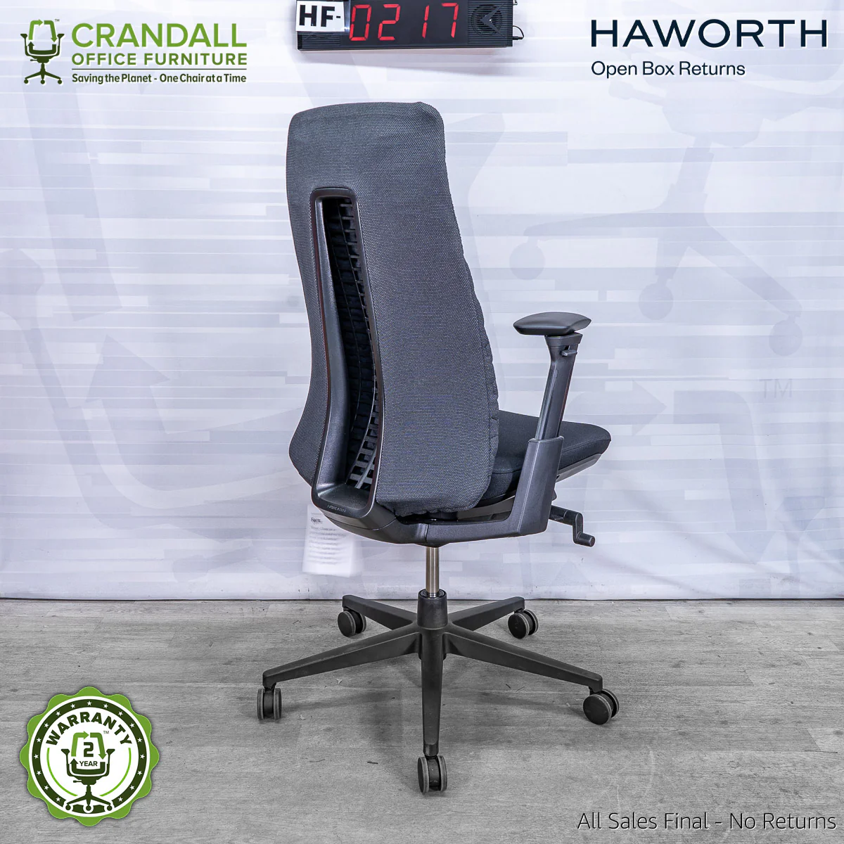 HF-0217 - Haworth Fern - Image 2