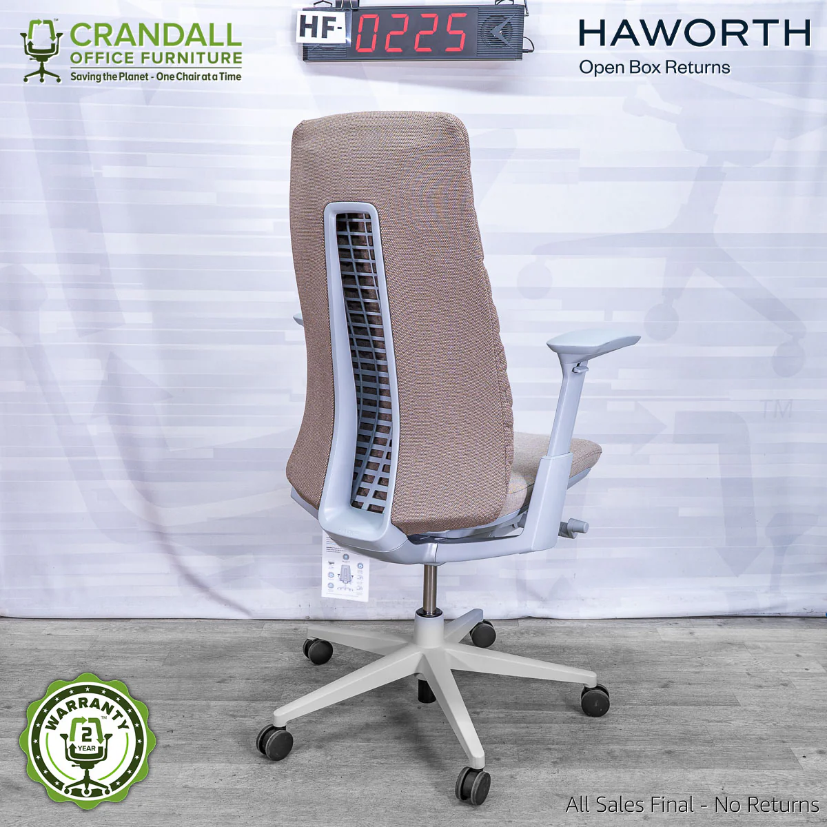 HF-0225 - Haworth Fern - Image 2