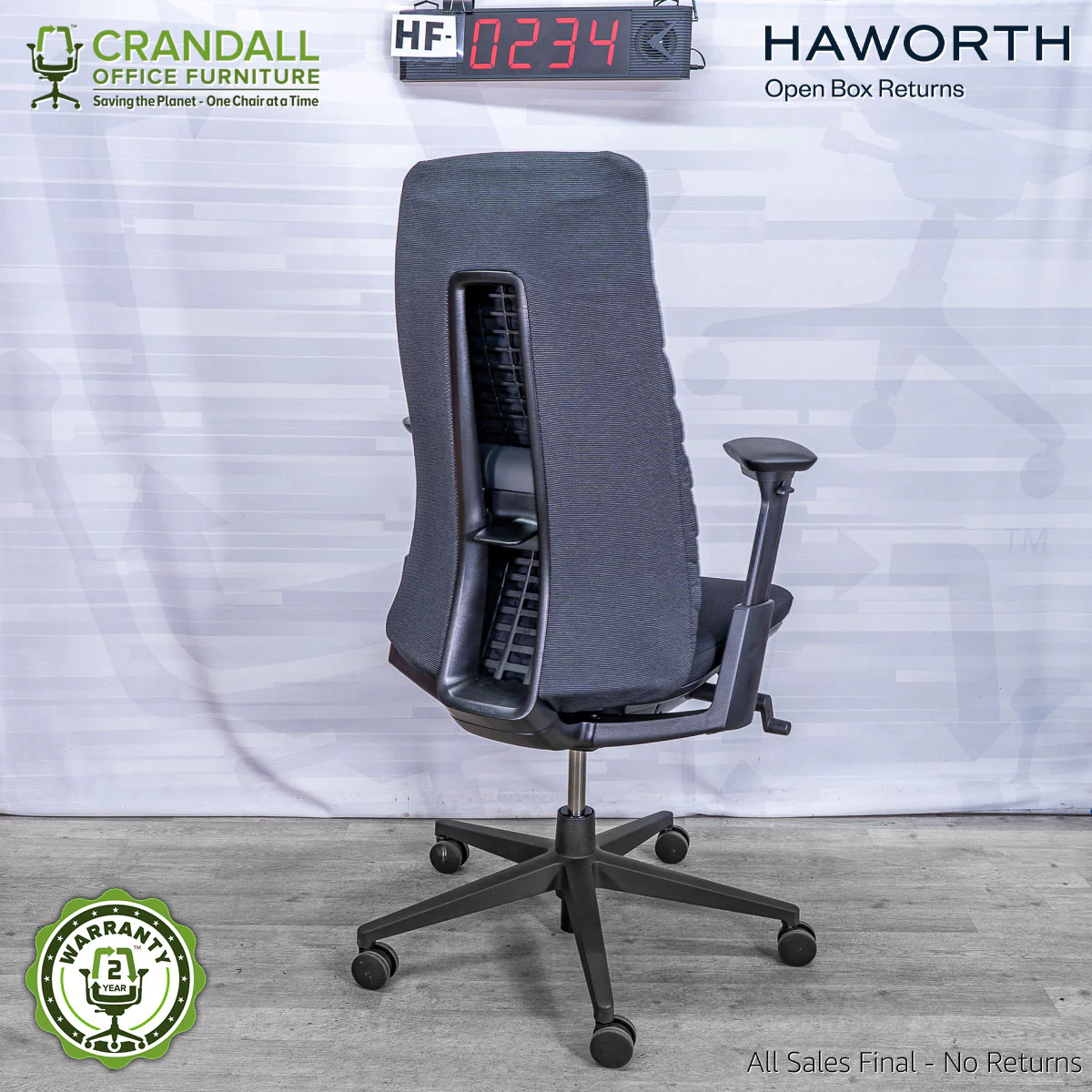 HF-0234 - Haworth Fern - Image 2