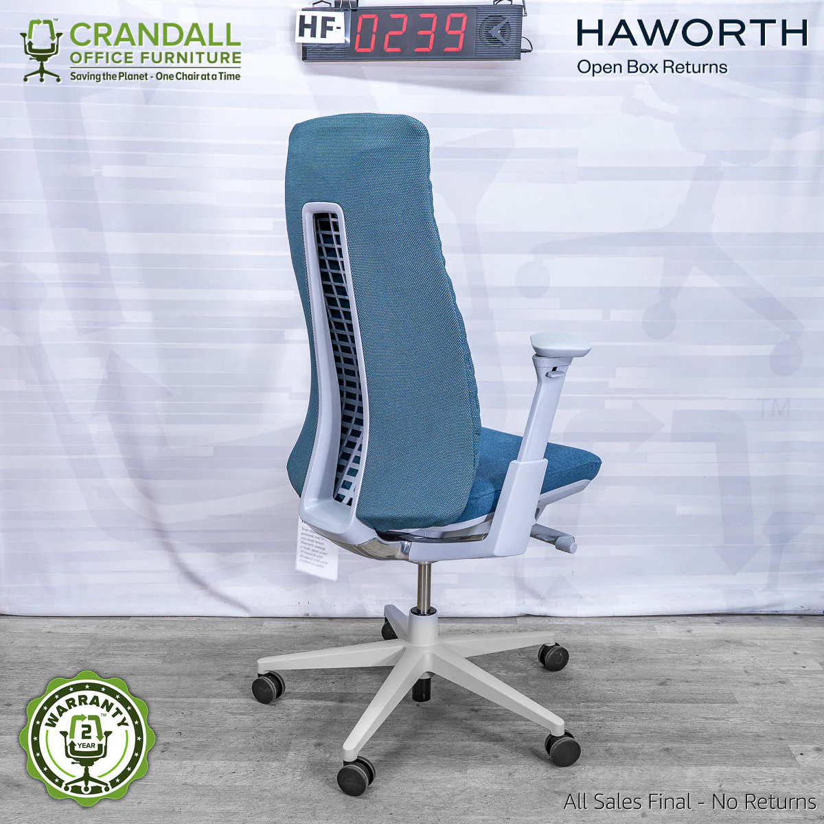 HF-0239 - Haworth Fern - Image 2