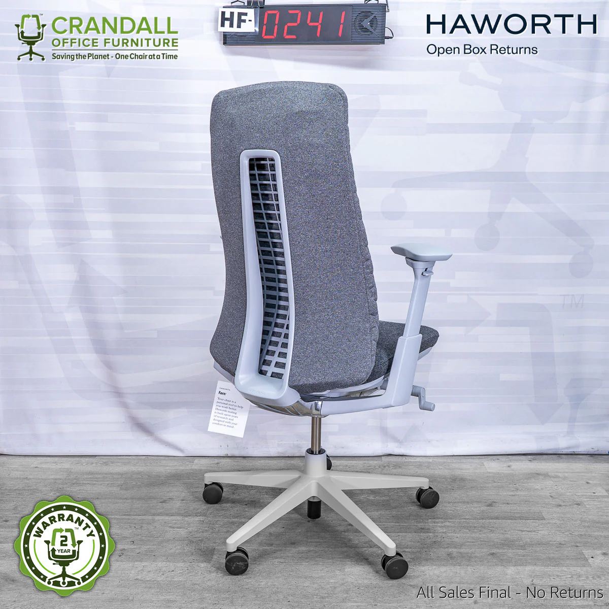HF-0241 - Haworth Fern - Image 2