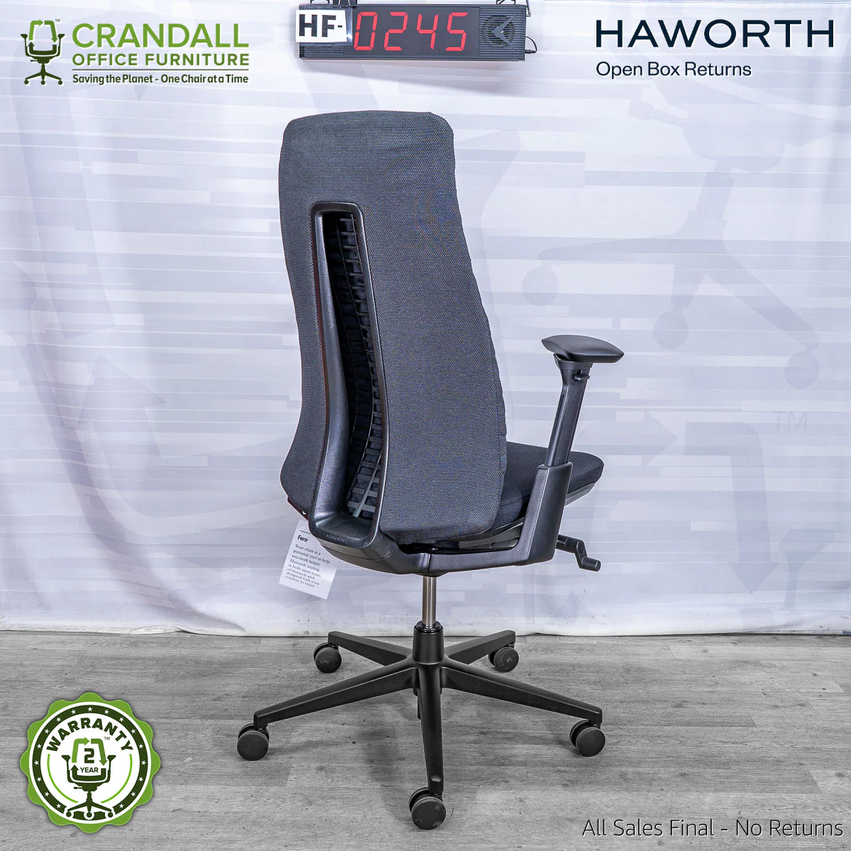 HF-0245 - Haworth Fern - Image 2