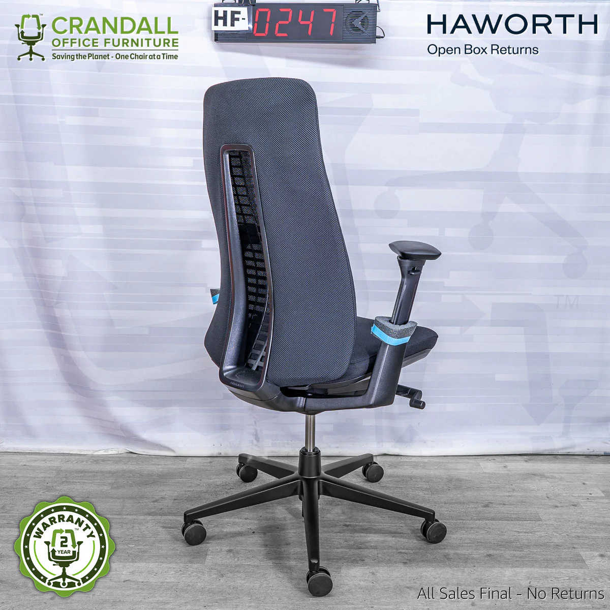 HF-0247 - Haworth Fern - Image 2
