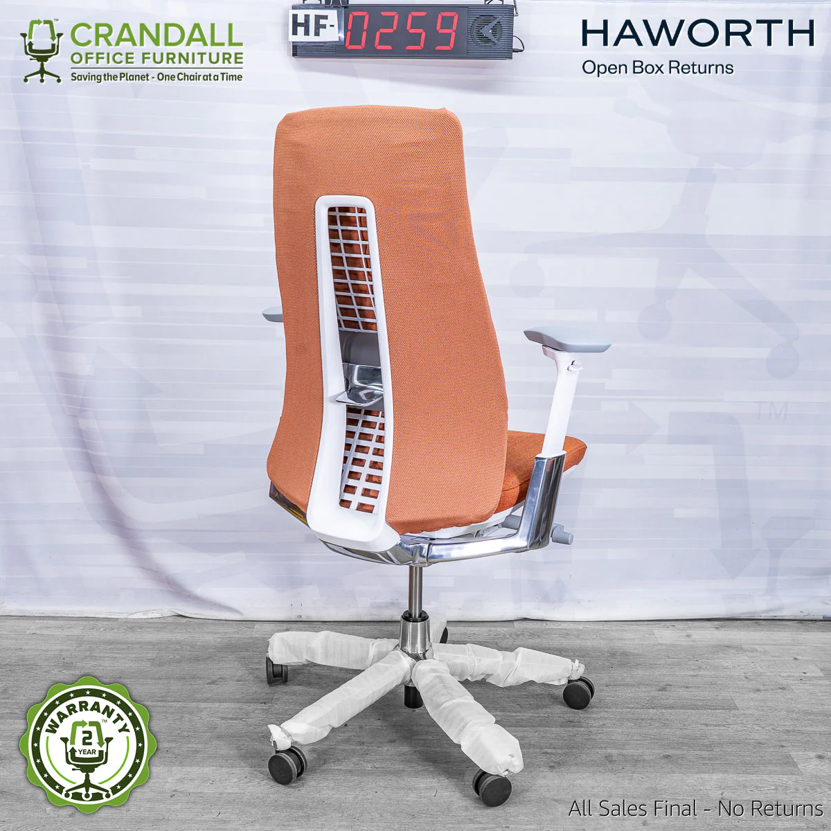 HF-0259 - Haworth Fern - Image 2