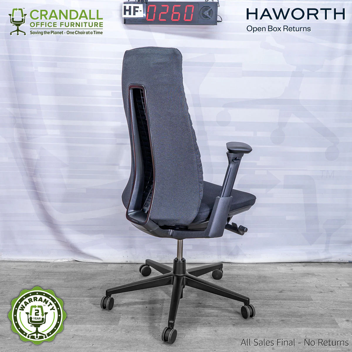 HF-0260 - Haworth Fern - Image 2
