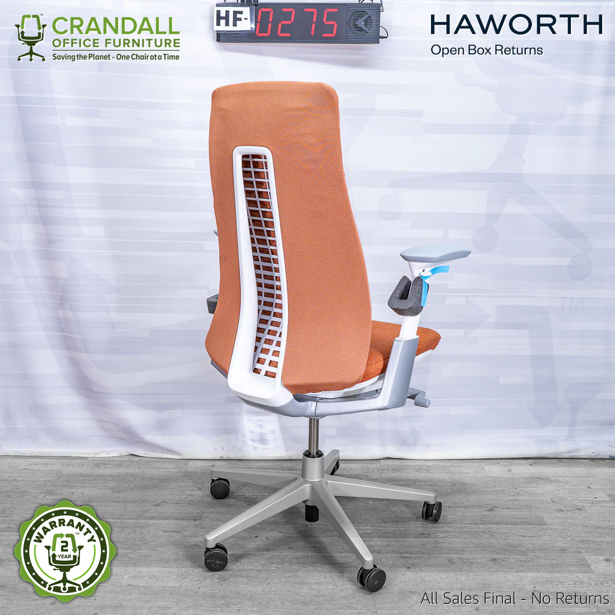 HF-0275 - Haworth Fern - Image 2