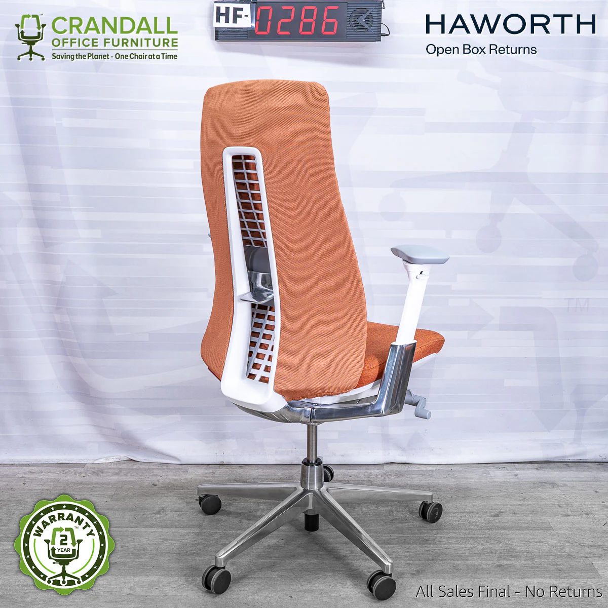 HF-0286 - Haworth Fern - Image 2