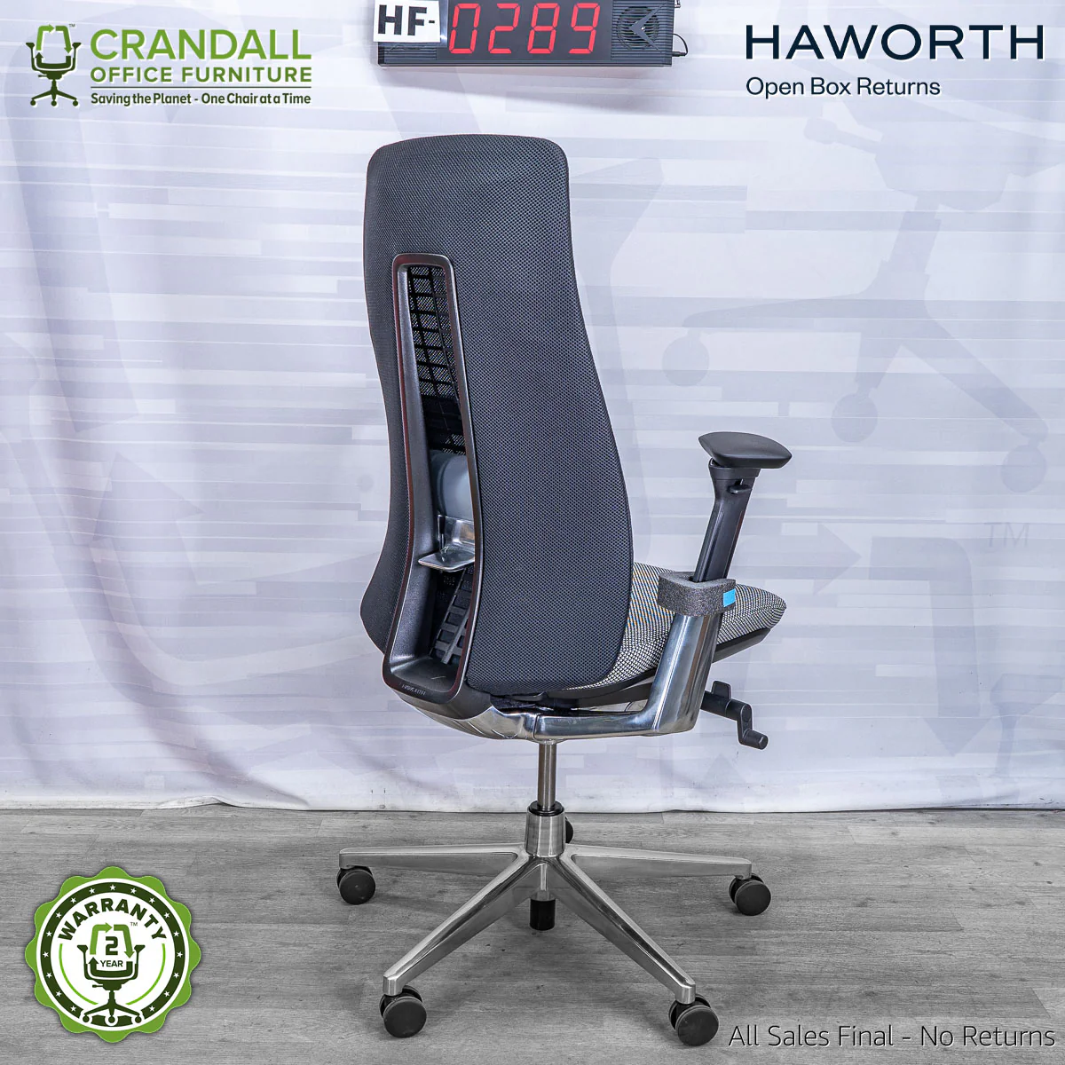 HF-0289 - Haworth Fern - Image 2