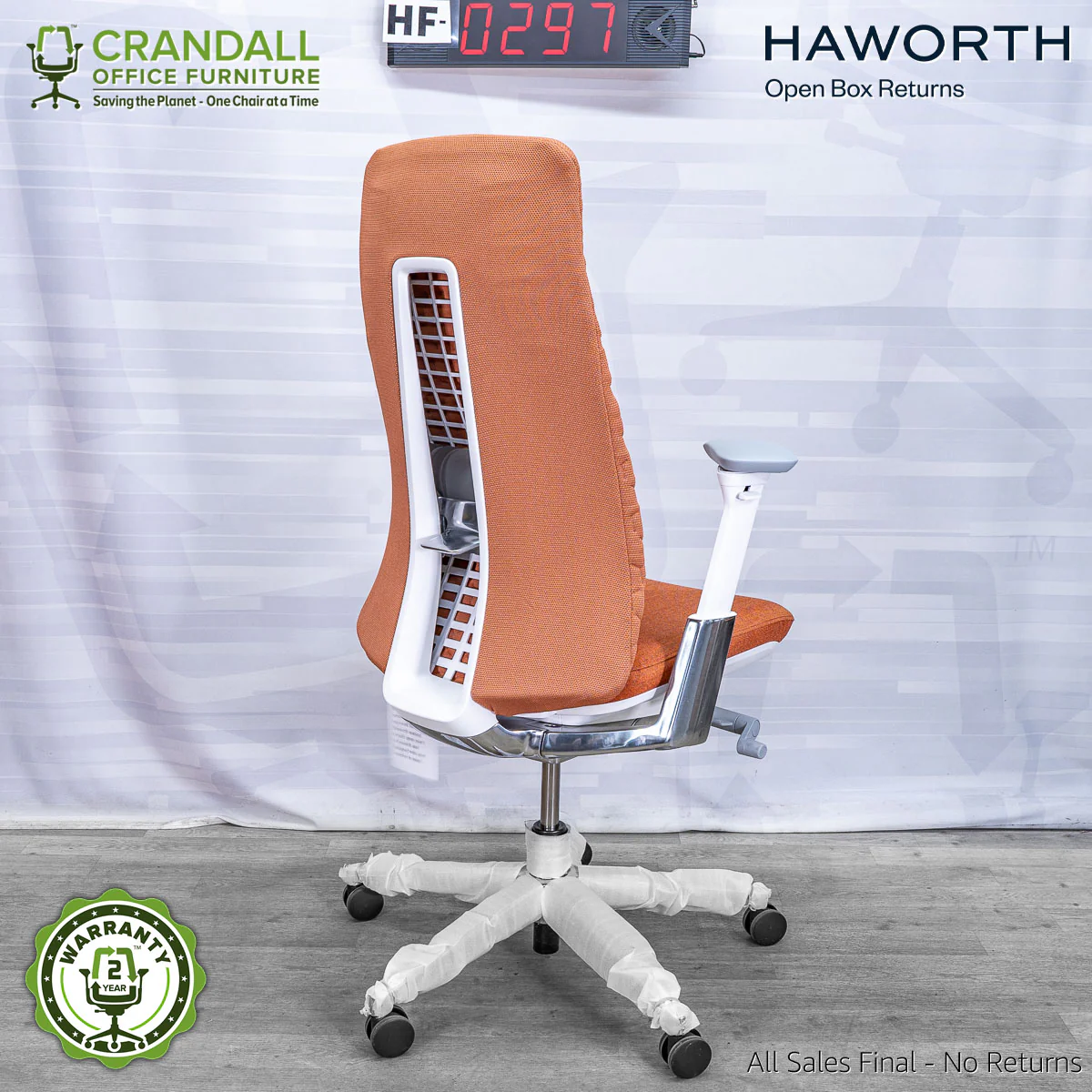 HF-0297 - Haworth Fern - Image 2