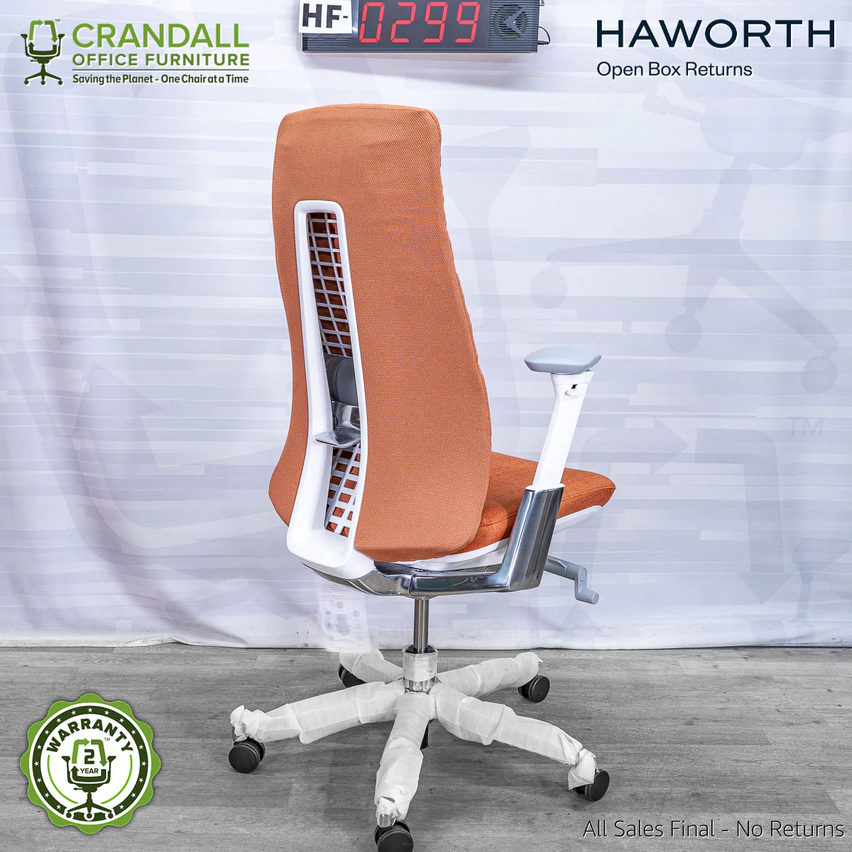 HF-0299 - Haworth Fern - Image 2