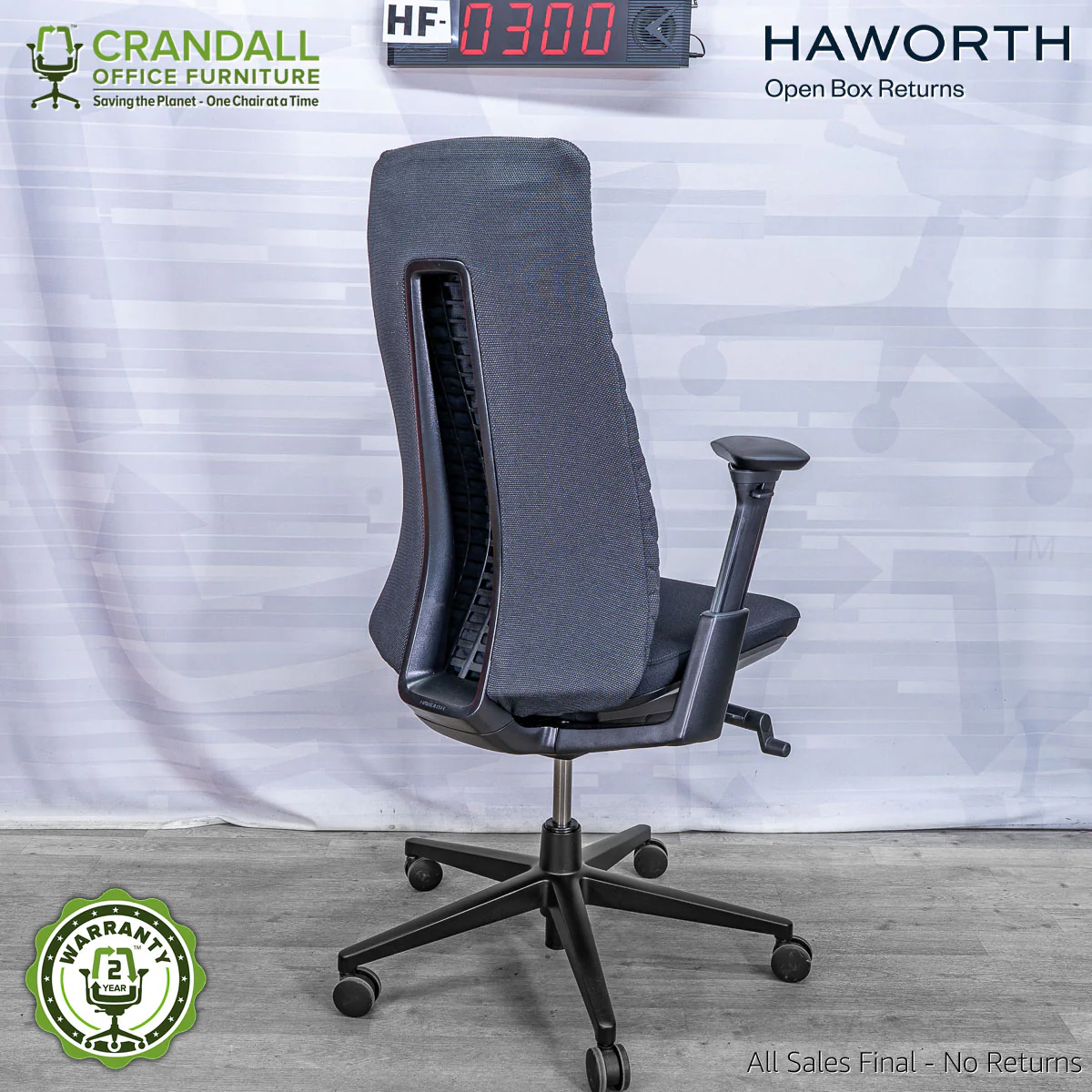 HF-0300 - Haworth Fern - Image 2