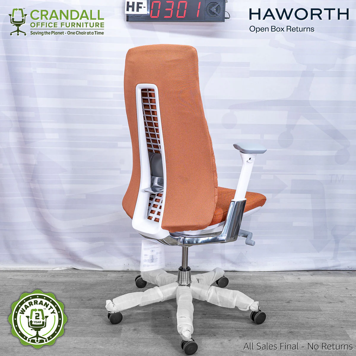 HF-0301 - Haworth Fern - Image 2