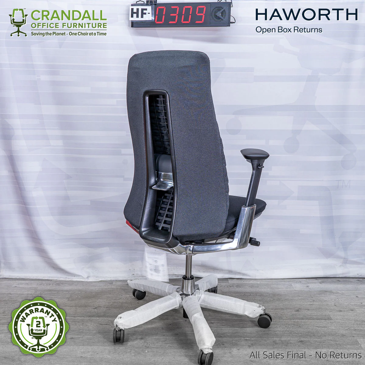 HF-0309 - Haworth Fern - Image 2