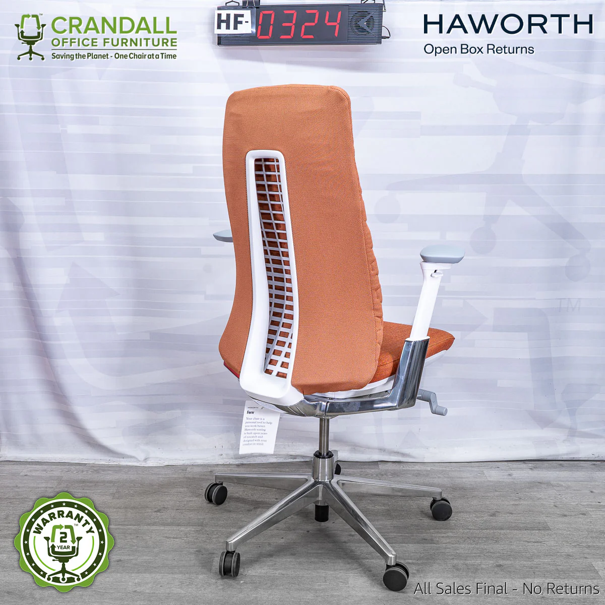 HF-0324 - Haworth Fern - Image 2