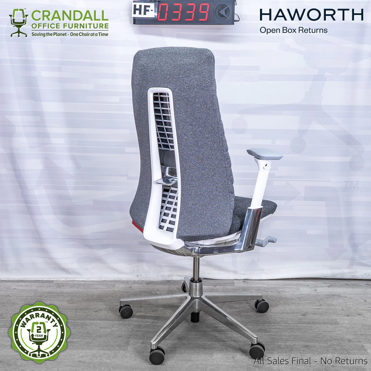 HF-0339 - Haworth Fern - Image 2