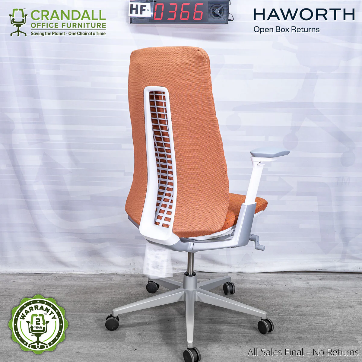 HF-0366 - Haworth Fern - Image 2