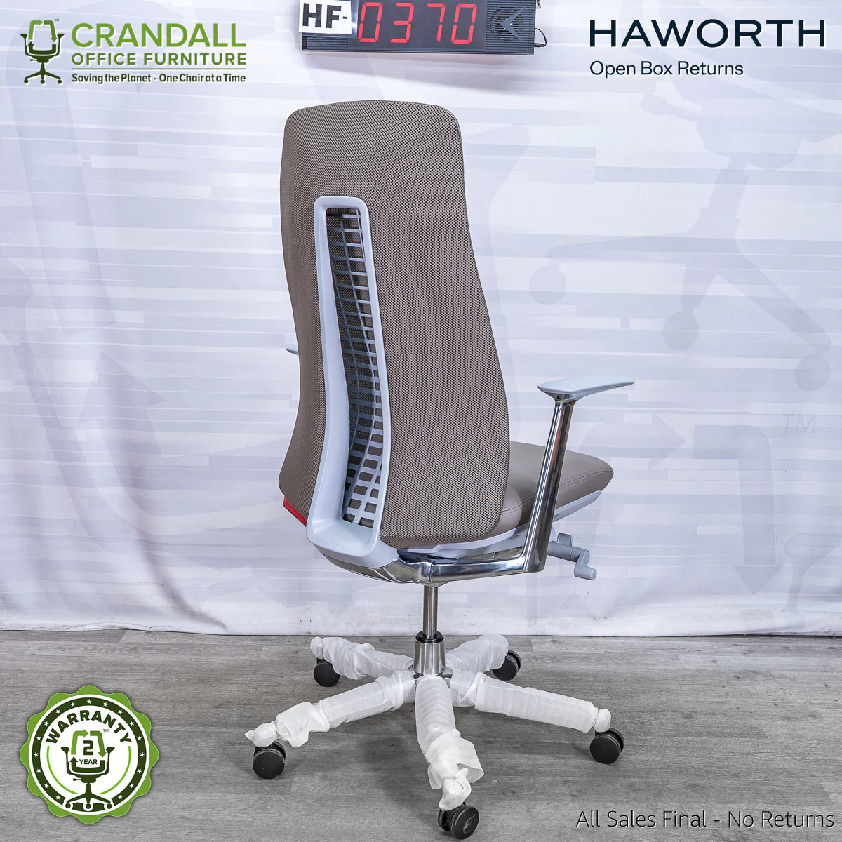 HF-0370 - Haworth Fern - Image 2