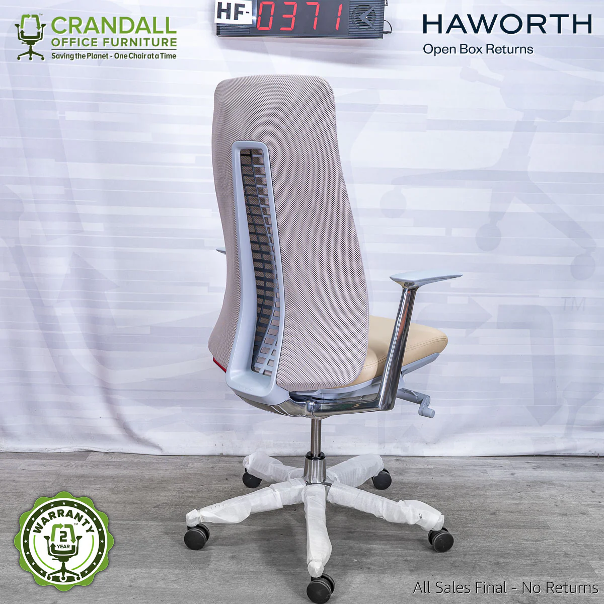 HF-0371 - Haworth Fern - Image 2