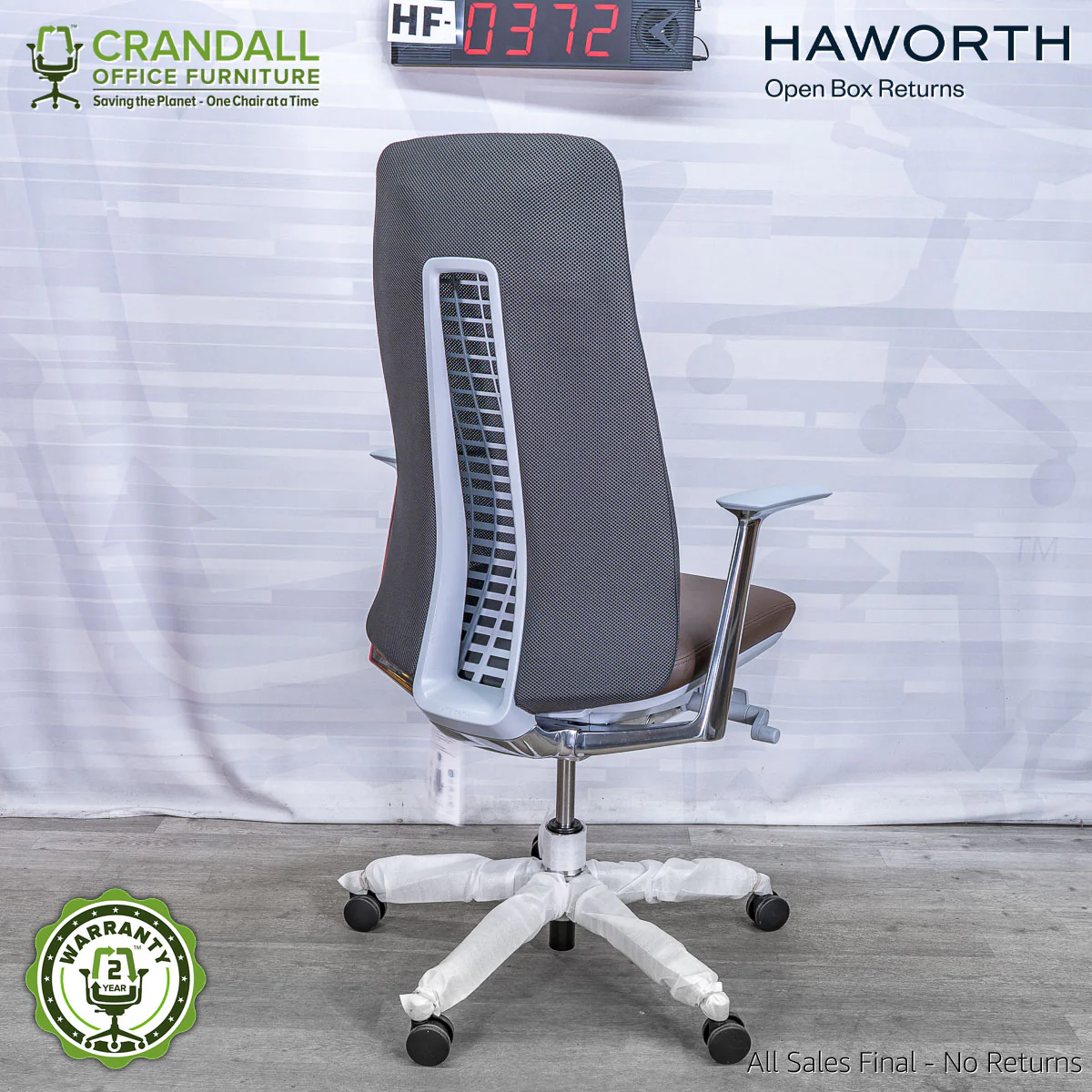 HF-0372 - Haworth Fern - Image 2