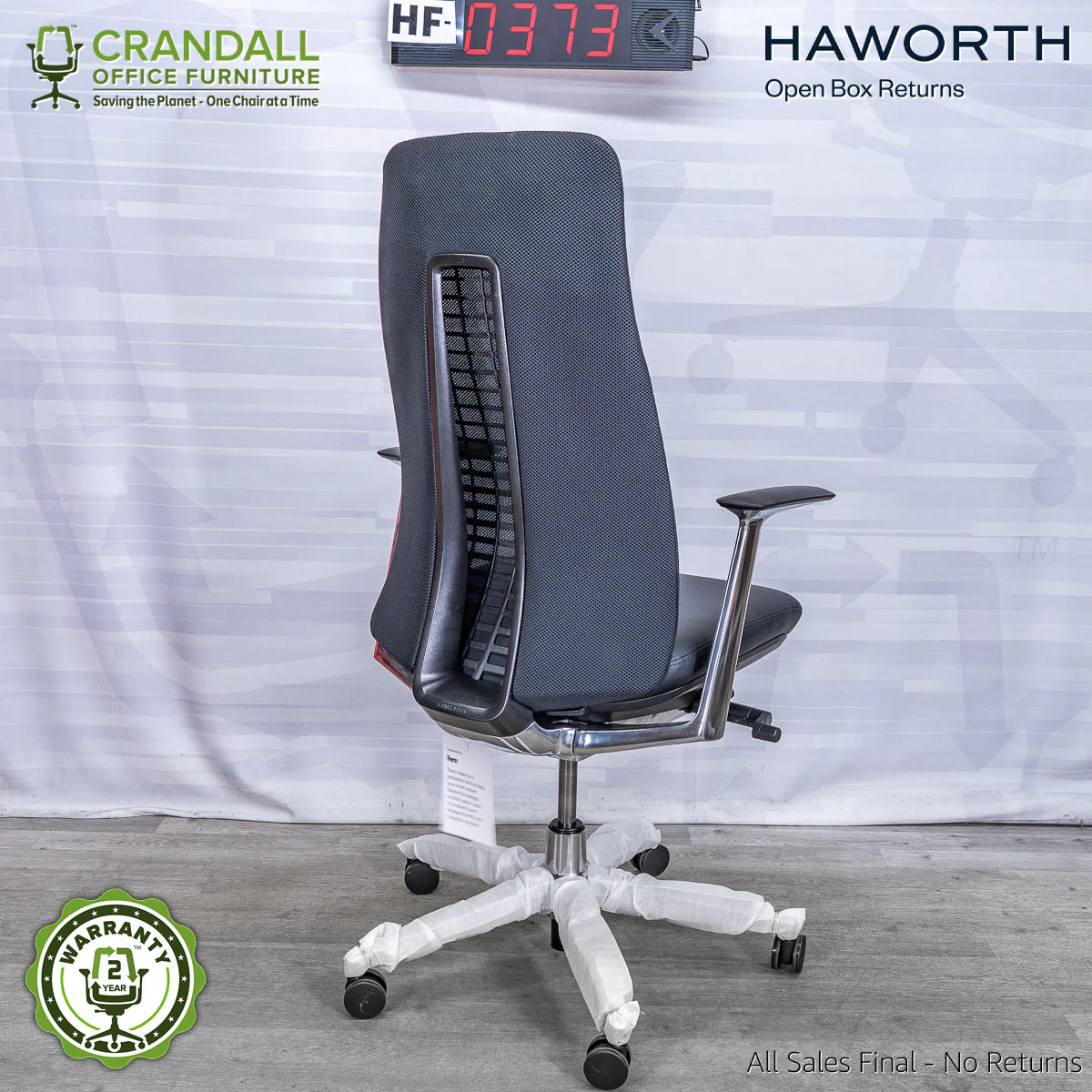 HF-0373 - Haworth Fern - Image 2