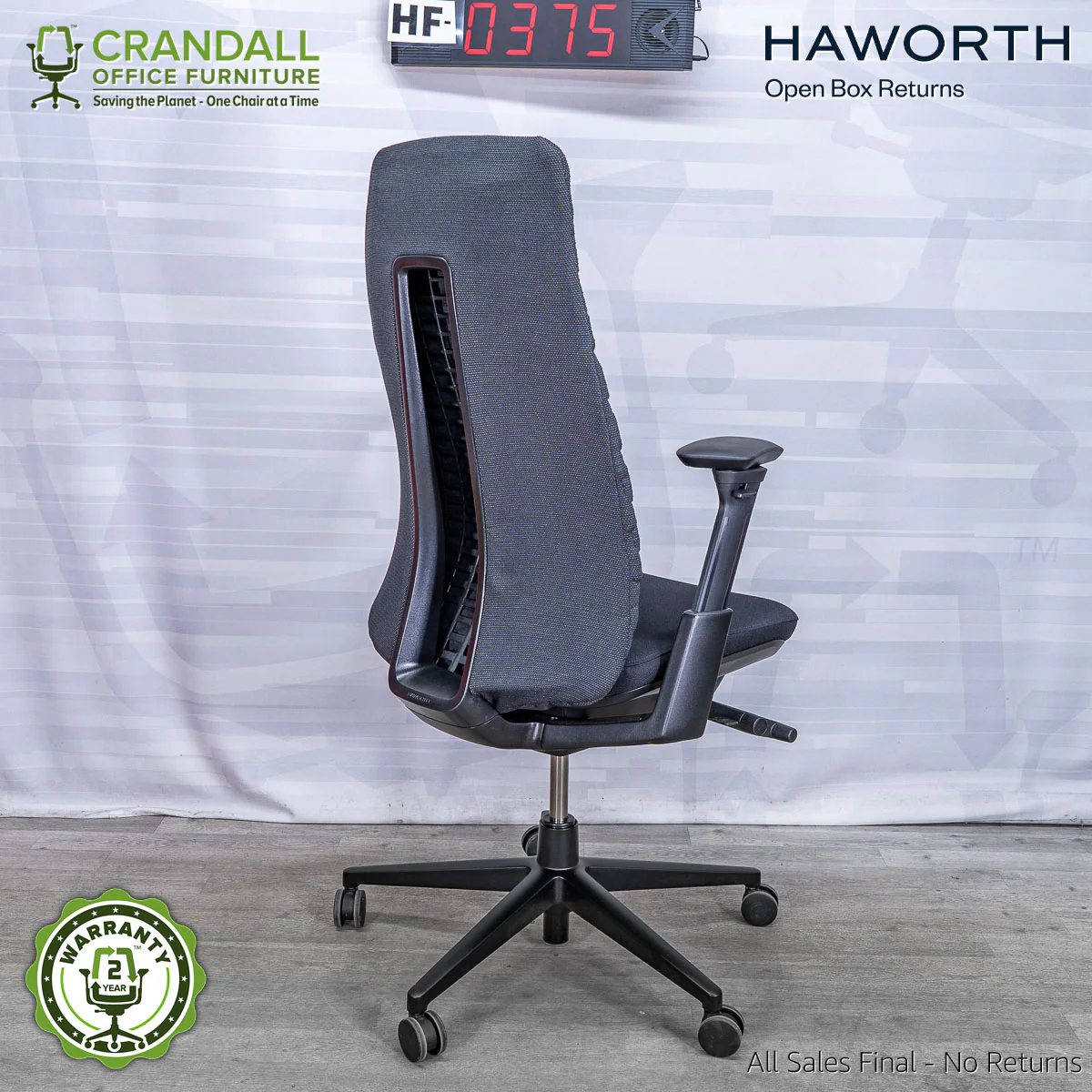 HF-0375 - Haworth Fern - Image 2