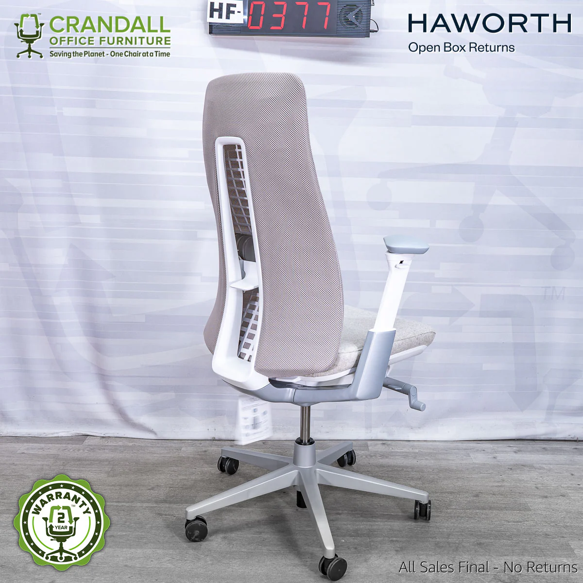HF-0377 - Haworth Fern - Image 2