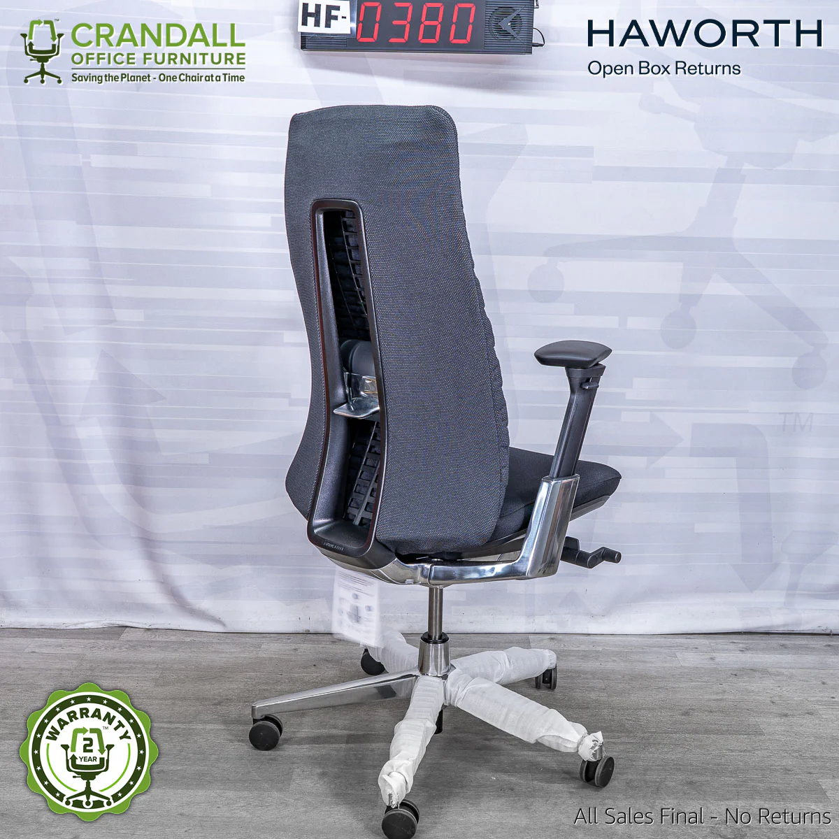 HF-0380 - Haworth Fern - Image 2