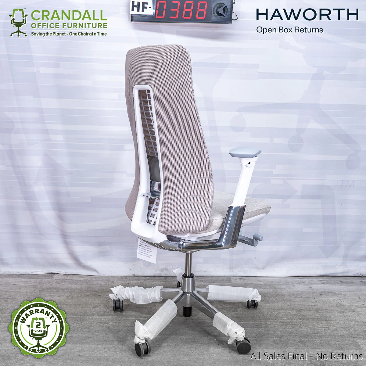 HF-0388 - Haworth Fern - Image 2