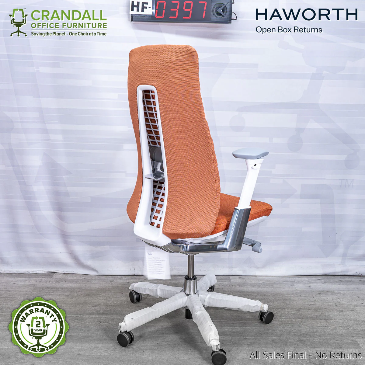 HF-0397 - Haworth Fern - Image 2